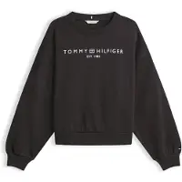 Tommy Hilfiger Corp Logo Modern Collegepaita