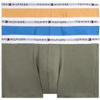 Tommy Hilfiger Signature Essential Um0um02761 Boxerit 3 Yksiköt