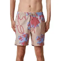 Globe Dreamin' Wild Surffishortsit dune Koko XL