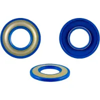 Rms Classic Piaggio Vespa Px 125-150-200cc/gl/sprint 150cc 100666020 Kampiakselin öljytiivisteet 10 Yksiköt