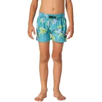 Rip Curl Mason Volley Uimashortsit
