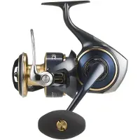 Daiwa Saltiga 25 Jigging-kela