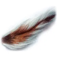 Baetis Of Gamo Buck Häntä