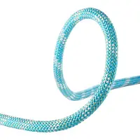 Edelrid Interstatic Protect 11 Mm Köysi