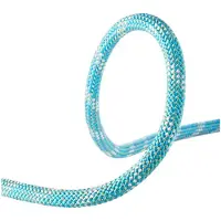 Edelrid Interstatic Protect 11 Mm Köysi