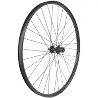 Gurpil Nainer 29´´ Cl Disc Mtb Takapyörä