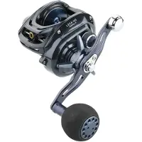 Daiwa Lexa Hd 2019 Baitcasting-kela