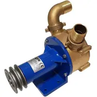Goldenship 40 Special-pumppu