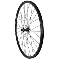Massi Black Gold 3 32h 29´´ Cl Disc Maastopyörän Etupyörä