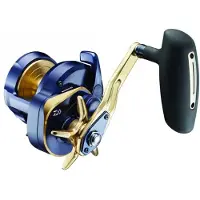 Daiwa Saltiga 2022 Jigging-kela