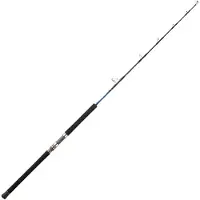 Daiwa Saltiga Deep Ex Jigging-vapa