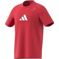 Adidas Category Graphic Lyhythihainen T-paita