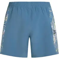 O'Neill O'Riginals Side Panel 16" Surffishortsit sininen, S