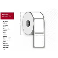 Capture – Label 100 x 50mm, Core 76mm, (CA-3006777-T-PERF)