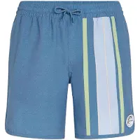 O'Neill O'Riginals Scallop 16" Surffishortsit blue org longboard stripe Koko L