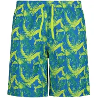 CMP 34r9087 Uimapuku Boxer