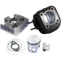 Polini 166.0076/12r Racing Ø47mm Yamaha/minarelli Sylinterisarja