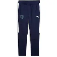 Puma Parma Calcio 1913 Teamevostripe Hikihousut