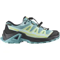 Salomon X Ultra Gore-tex Vaelluskengät