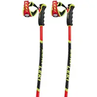 LEKI Wcr Tbs Gs 3d Kävelysauvat