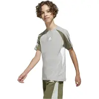 Adidas Seasonal Essentials Colorblock Lyhythihainen T-paita