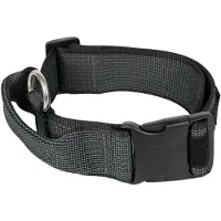 JULIUS K-9 Collar 50 Mm Koiranpanta