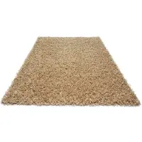 Hobby Hall Shaggy Light Carmel -matto, 160x220 cm