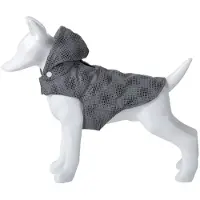Freedog Flash Koiran Takki