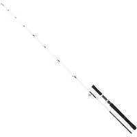 Daiwa Saltist Off Shore Jigging-vapa