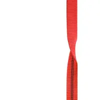 Edelrid X-tube 25 Mm Slingi
