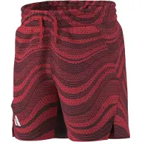 Adidas Pro Shortsit