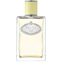 Prada Infusion de Gingembre, Eau de Parfum 100ml