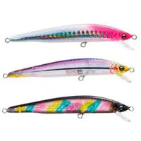 Duel Hardcore Floating Minnow 34g 210 Mm