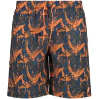 CMP 34r9087 Uimapuku Boxer