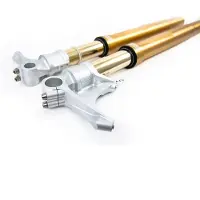 Öhlins Fgrt200 Kawasaki Zx 10 Rr/ninja 1000 2021-2024 Etuhaarukka