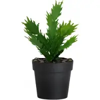 ABERTO DESIGN koristekasvi, 21 cm