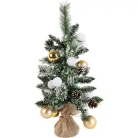 Black Box Trees Joulukuusi valkoinen ja kultainen 60 cm sis. LED-valot ajastimella - Jack