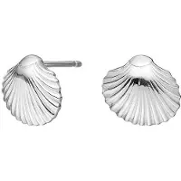 Nordahl Jewellery Sea52 korvakorut 30260440900