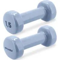 Spokey Shape vinyylipainosarja 2x1.5 kg