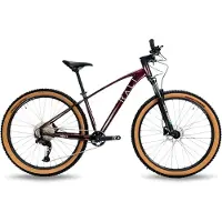 RALI Adv I 29´´ Cues Maastopyörä