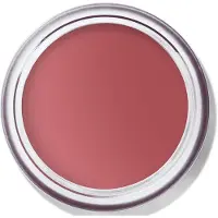 Bobbi Brown Pot Rouge Velvet Matte Rose Garden