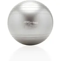 Loumet Fitness Ball Pro