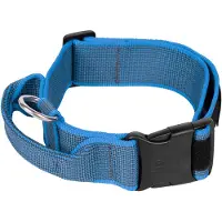JULIUS K-9 Collar 50 Mm Koiranpanta