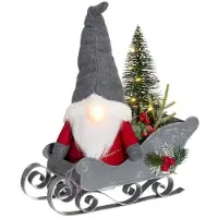 Winteria Gnome and sleigh pilkas