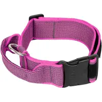 JULIUS K-9 Collar 40 Mm Koiranpanta