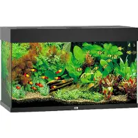 Gebr. De Boon - Rio 125 LED Black Aquarium - Akvaariotarvikkeet - Akvaariot ja akvaariokalusteet - Akvaariot