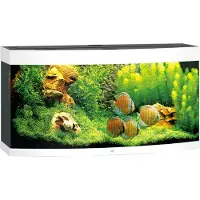 Gebr. De Boon - Vision 260 LED White Aquarium - Akvaariotarvikkeet - Akvaariot ja akvaariokalusteet - Akvaariot