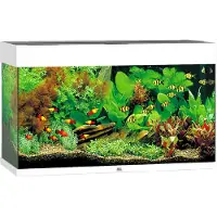 Gebr. De Boon - Rio 125 LED White Aquarium - Akvaariotarvikkeet - Akvaariot ja akvaariokalusteet - Akvaariot