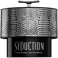 Armaf Seduction Pour Homme Eau de Parfum 100 ml