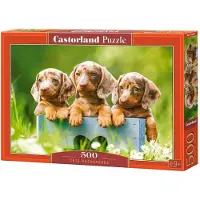 Castorland Cute Dachshunds 500p palapeli